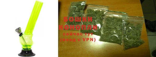 сатива Абдулино