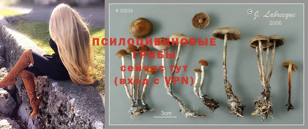 MDMA Пролетарск