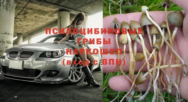 марки lsd Приозерск